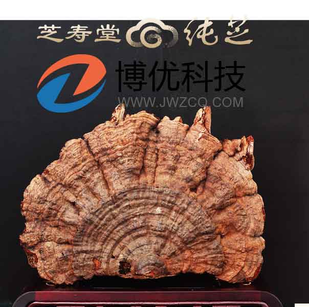 重慶洋世達(dá)實(shí)業(yè)(集團(tuán))有限公司旗下北京芝壽堂健康管理有限公司委托我司網(wǎng)站。正是看中我司強(qiáng)大的技術(shù)團(tuán)隊(duì)和多年的建站經(jīng)驗(yàn)。